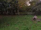 Продаётся  участок 12 сот, photo 5 from 7