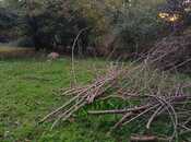 Продаётся  участок 12 сот, photo 7 from 7