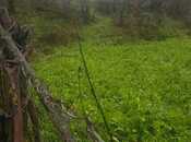 Satılır  torpaq 32 sot, Nardaran q., photo 2 from 4