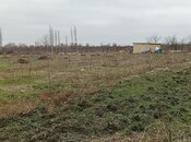 Продаётся  участок 34 сот, Хачмазский р., photo 6 from 8