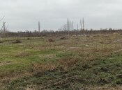 Продаётся  участок 34 сот, Хачмазский р., photo 7 from 8