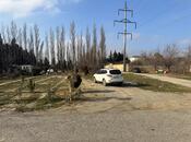 Продаётся  участок 11 сот, Абшеронcкий  р., photo 2 from 8