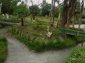 Satılır  torpaq 174 sot, photo 2 from 8