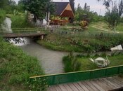 Satılır  torpaq 174 sot, photo 4 from 8