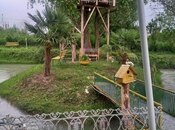 Satılır  torpaq 174 sot, photo 6 from 8