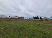 Satılır  torpaq 7 sot, Albalılıq q., photo 2 from 5