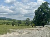 Продаётся  участок 400 сот, photo 5 from 8