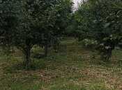 Продаётся  участок 132 сот, photo 5 from 8