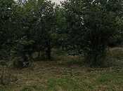 Продаётся  участок 132 сот, photo 4 from 8