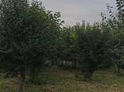 Продаётся  участок 132 сот, photo 6 from 8