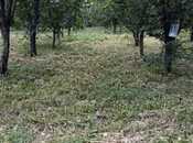 Продаётся  участок 132 сот, photo 8 from 8