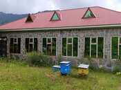 Elan №5859551 - Qəbələ, Qəbələ, 100 m²