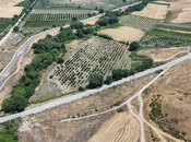 Satılır  torpaq 600 sot, photo 2 from 8