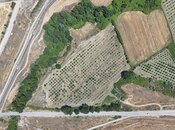 Satılır  torpaq 600 sot, photo 4 from 8