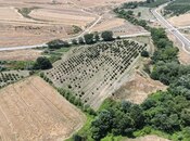 Satılır  torpaq 600 sot, photo 3 from 8