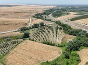 Satılır  torpaq 600 sot, photo 5 from 8