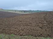 Satılır  torpaq 100 sot, photo 3 from 8