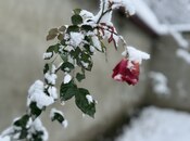 Сдаётся 3-комн. дом/дача 100 м², photo 3 from 8