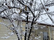 Сдаётся 3-комн. дом/дача 100 м², photo 6 from 8