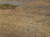 Объявление №5860255 - Сумгаит, Сумгаит, 27 сот