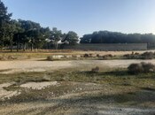 Продаётся  участок 30 сот, пос. Бина, photo 2 from 4