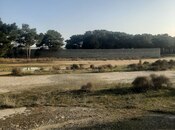 Продаётся  участок 30 сот, пос. Бина, photo 3 from 4