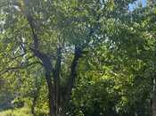 Объявление №5861311 - Губа, Губа, 3-комн., 82 м²