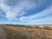 Satılır  torpaq 1 000 sot, Ələt q., photo 4 from 8