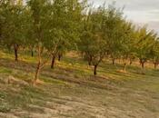 Продаётся  участок 1 200 сот, photo 2 from 2