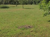 Продаётся  участок 82 сот, photo 7 from 8