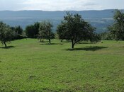 Продаётся  участок 82 сот, photo 6 from 8