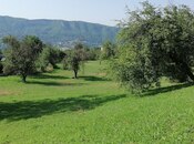 Объявление №5861631 - Губа, Губа, 82 сот