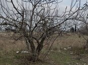 Satılır  torpaq 6 sot, Nardaran q., photo 4 from 5