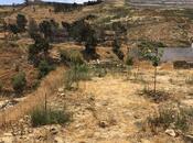 Продаётся  участок 7.5 сот, пос. Бадамдар, photo 4 from 5