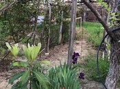 Продаётся  участок 4 сот, photo 3 from 6