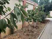 Продаётся 4-комн. дом/дача 200 м², пос. Гала, photo 7 from 8