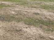 Satılır  torpaq 30 sot, Qobu q., photo 3 from 3