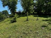 Объявление №5862788 - Губа, Губа, 61 сот