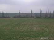 Объявление №5862994 - Губа, Губа, 19 сот