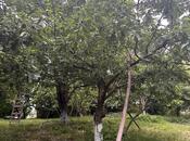 Объявление №5863208 - Губа, Губа, 10.5 сот