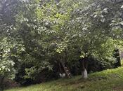 Продаётся  участок 10.5 сот, photo 4 from 7