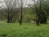 Elan №5863494 - Qəbələ, Qəbələ, 3 sot