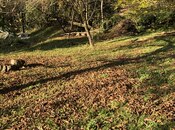 Satılır  torpaq 3 sot, photo 4 from 5