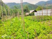 Satılır 6 otaqlı həyət evi/bağ evi 224 m², photo 4 from 8