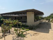 Продаётся  участок 22 сот, пос. Нардаран, photo 8 from 8