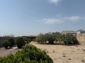 Продаётся  участок 22 сот, пос. Нардаран, photo 4 from 8