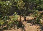 Продаётся  участок 5 сот, пос. Фатмаи, photo 4 from 4