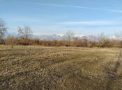 Elan №5863831 - Qəbələ, Qəbələ, 58 sot