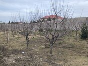 Продаётся  участок 3 сот, пос. Горадил, photo 5 from 5