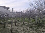 Объявление №5863845 - Баку, пос. Горадил, 3 сот